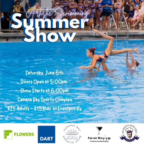 Holiday Synchro Show (11)