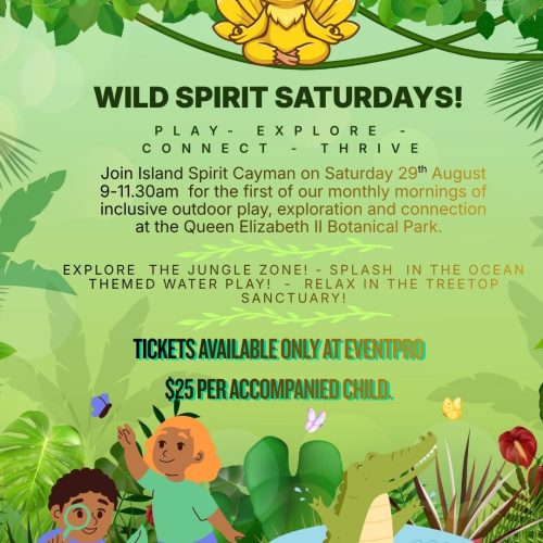 wild spirit flyer